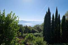 IMG-20250429-WA0008