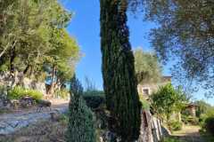 IMG-20250429-WA0016