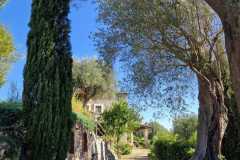 IMG-20250429-WA0017