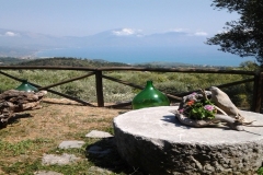 panorama-2